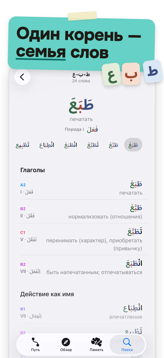 Один корень — семья слов