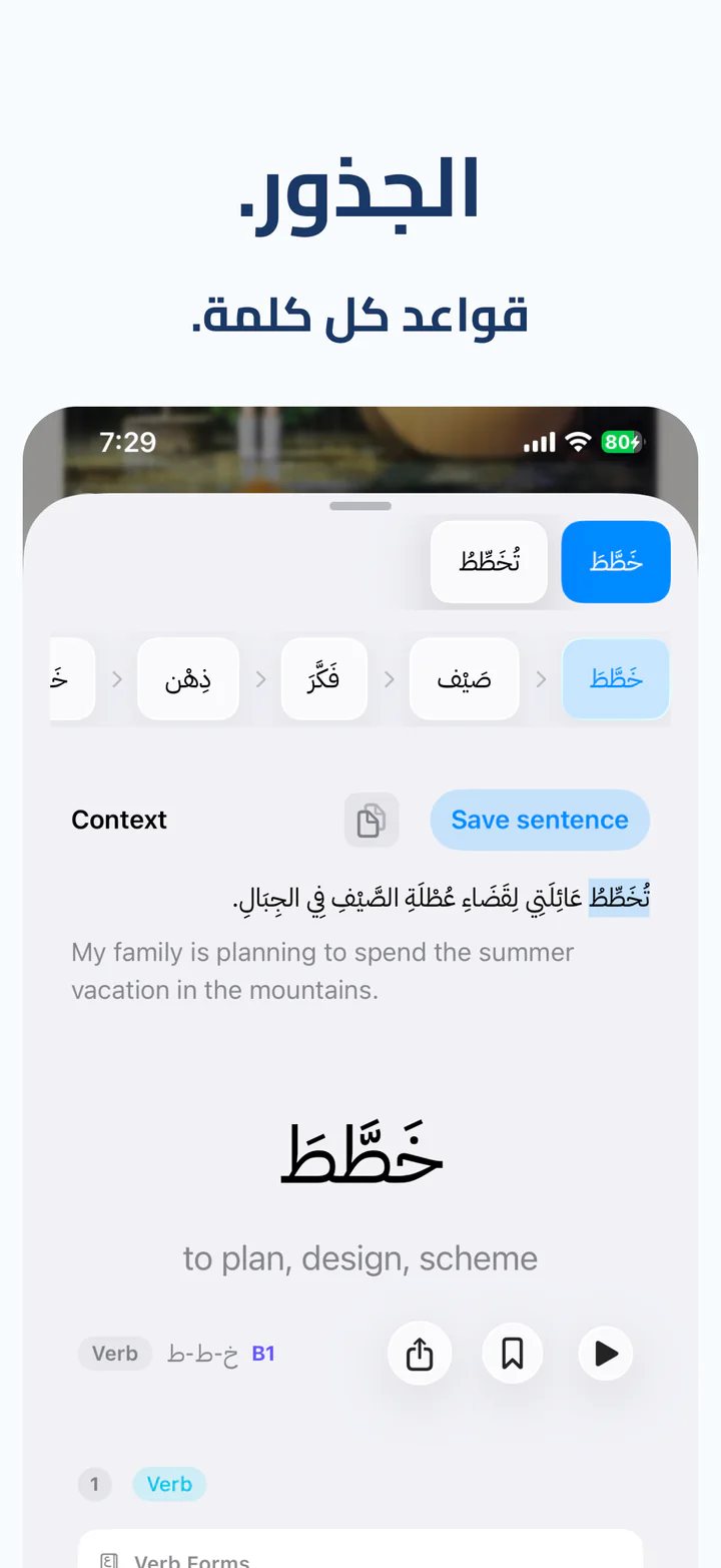 افهم الجملة العربية كاملة، لا ترجمة كلمة واحدة