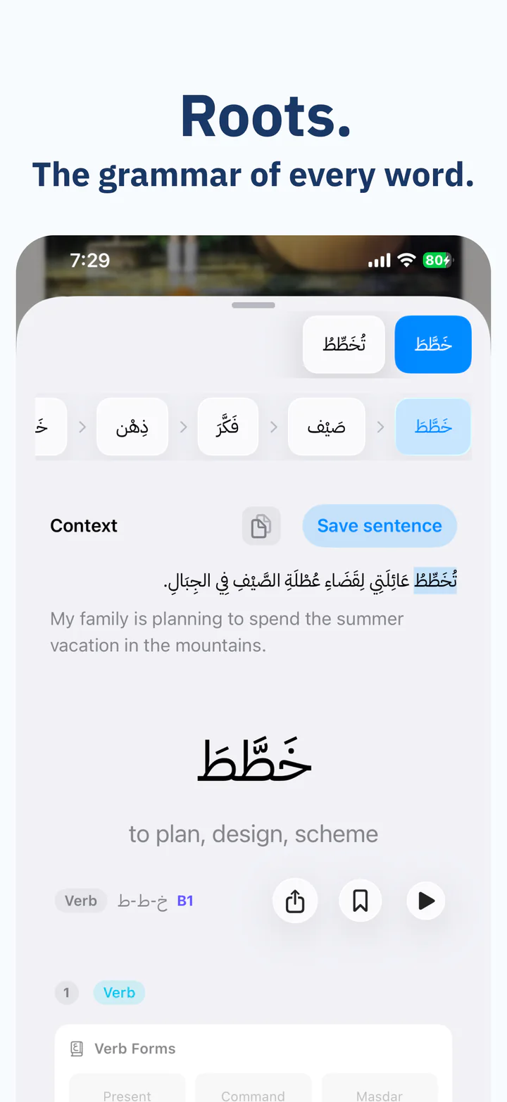 Understand the whole Arabic sentence, not only one translation